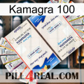 Kamagra 100 kamagra1